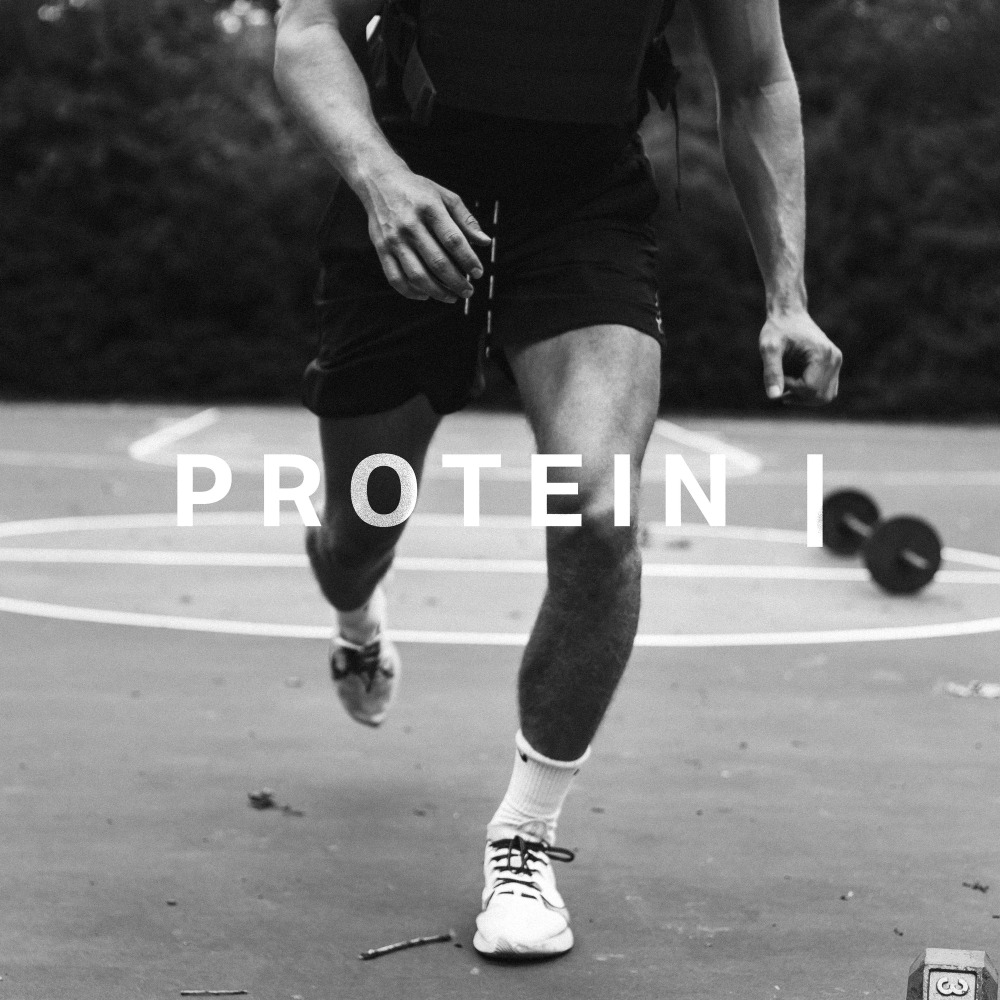 PROTEIN |