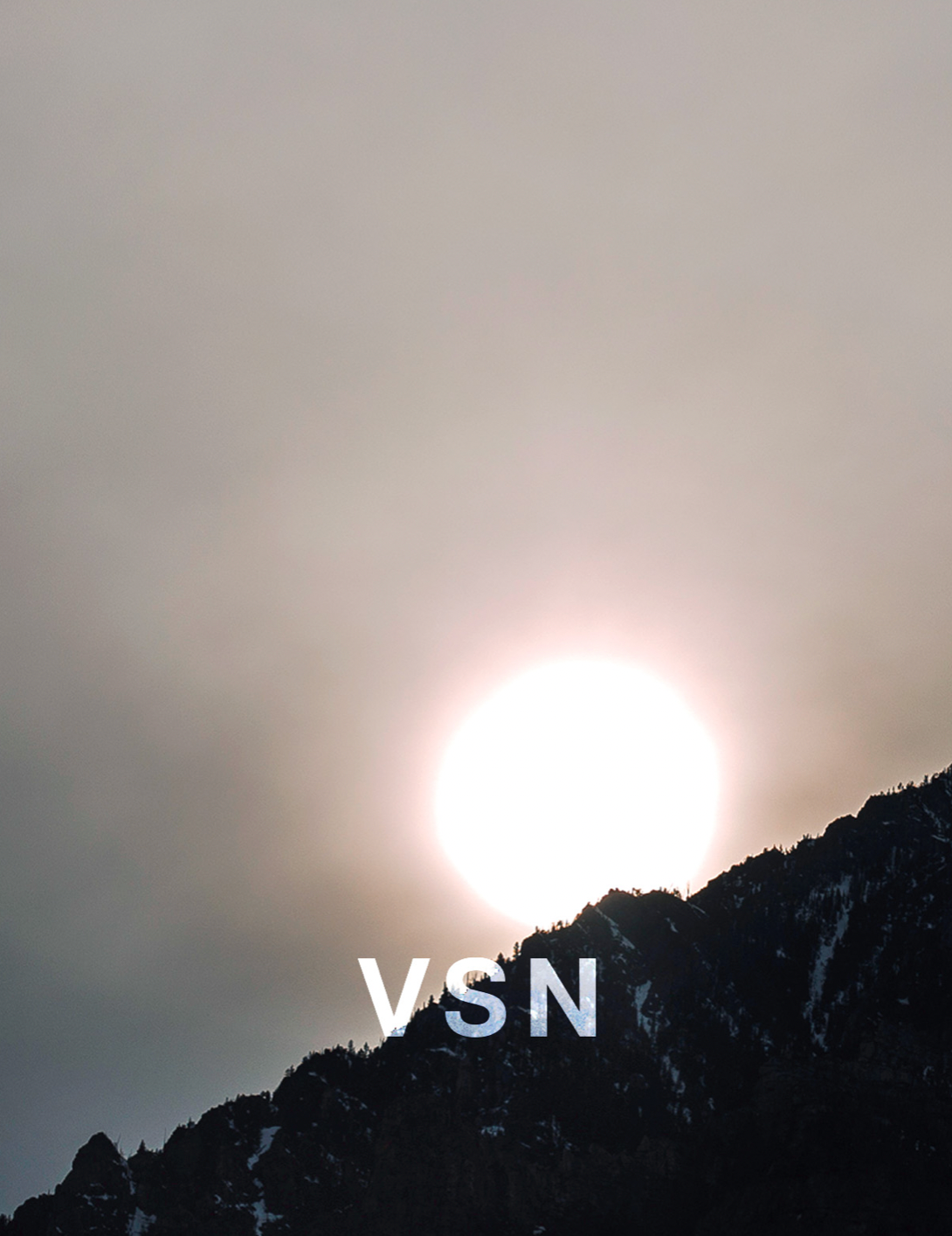 VSN (VISION)