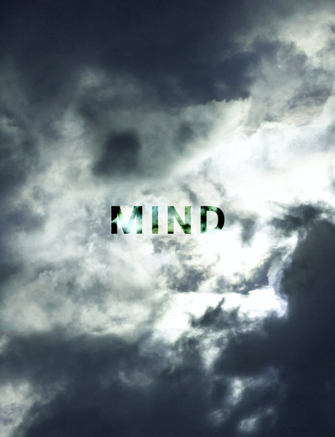 VSN (VISION)