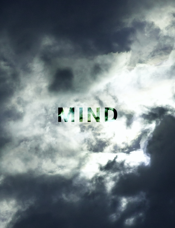VSN (VISION)